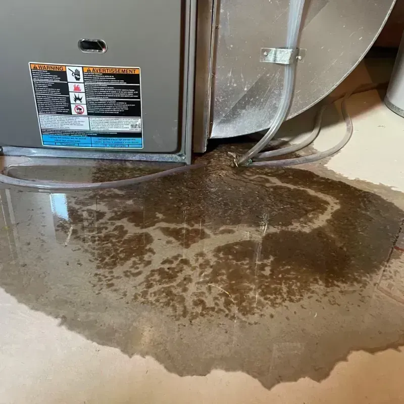 Appliance Leak Cleanup in Estelle, LA